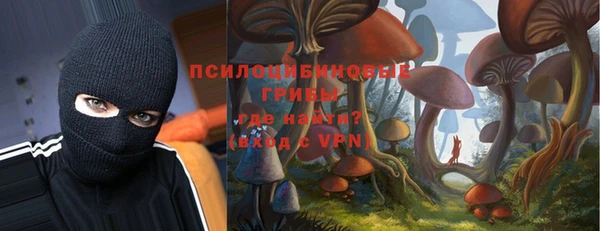 бутират Белокуриха