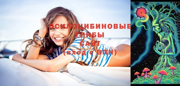 бутират Белокуриха