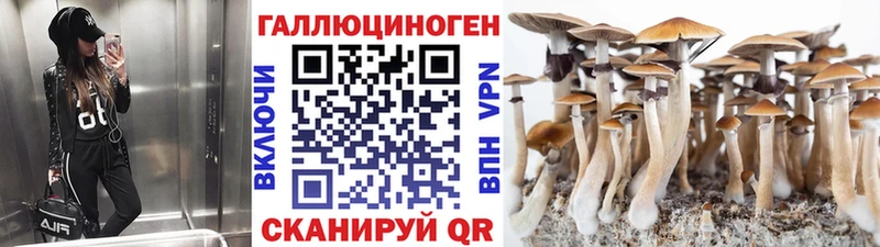 Псилоцибиновые грибы прущие грибы  Купить где  Дагестанские Огни 
