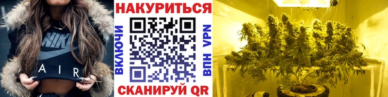 Купить где  Дагестанские Огни  Конопля семена 